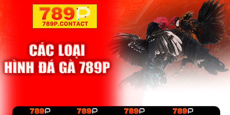 Các loại hình đá gà 789P